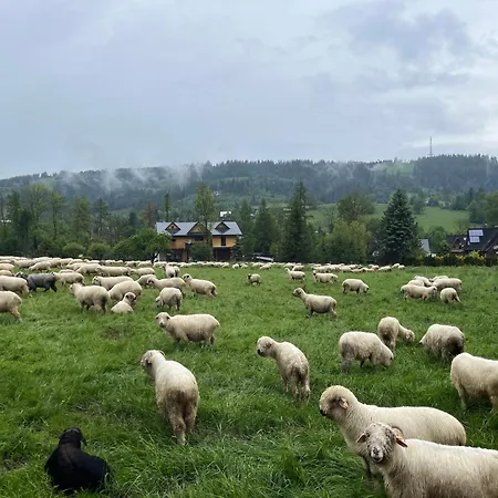 Milo Jest Tu * Zakopane
