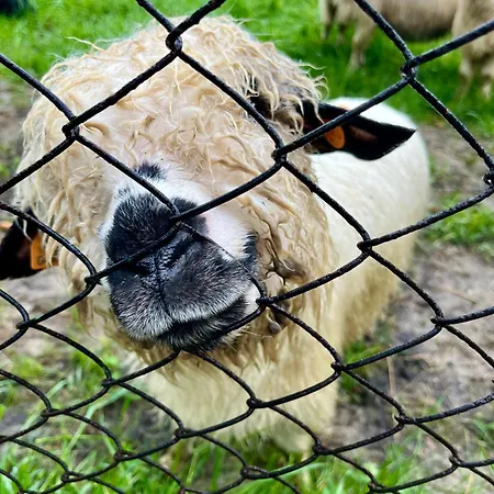 Chalet Milo Jest Tu *