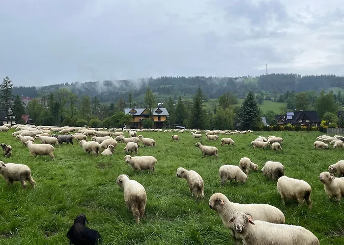 Milo Jest Tu * Zakopane