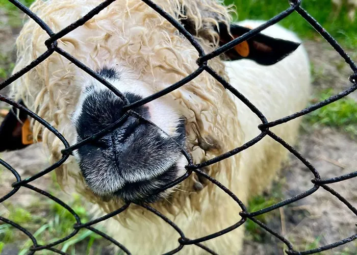 Chalet Milo Jest Tu *